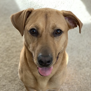 Phousa Khounpachamsy